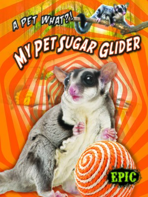 cover image of My Pet Sugar Glider